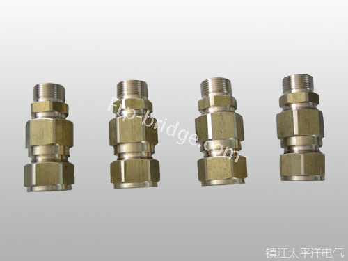 黃銅铠裝電(dian)纜密封接頭