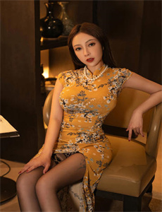 笨蛋的悲剧人生